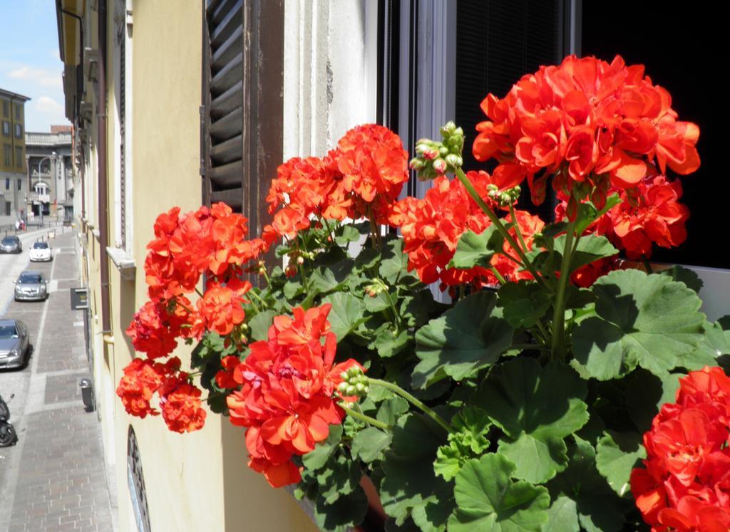 In Centro Charme Bed & Breakfast Bergamo Ngoại thất bức ảnh